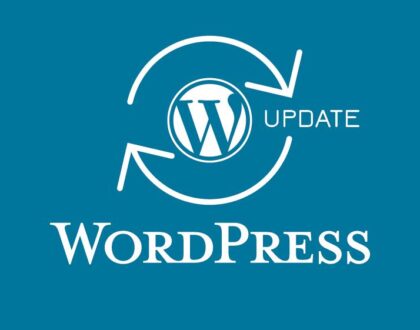 How To Disable WordPress Theme Update Notification (No Plugin)